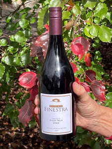 2024 dalla mia Finestra Pinot Noir
