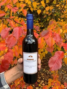 2019 dalla mia Finestra Cabernet Sauvignon